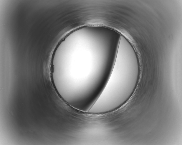 X0000089681248200706210808
