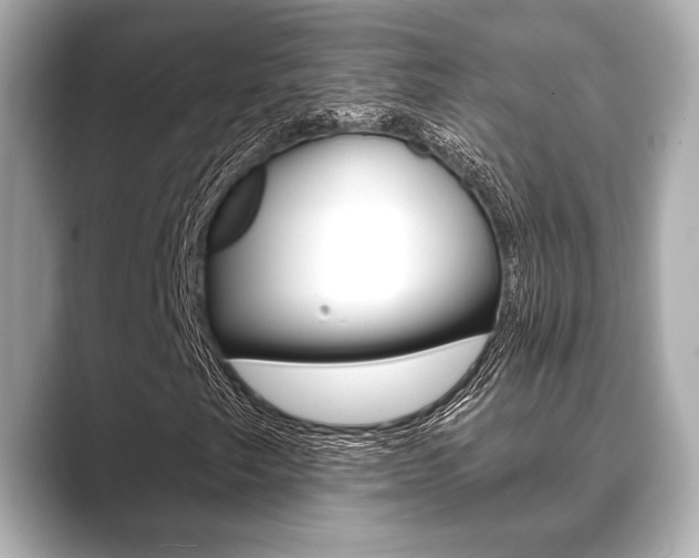 X0000089681249200706210807