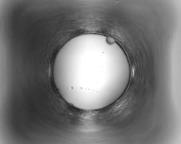 X0000089681251200706210807