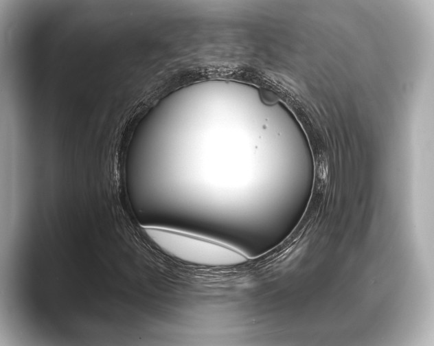 X0000089681252200706210807