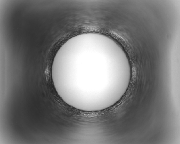 X0000089681254200706210807