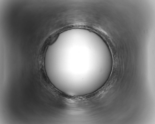 X0000089681255200706210807
