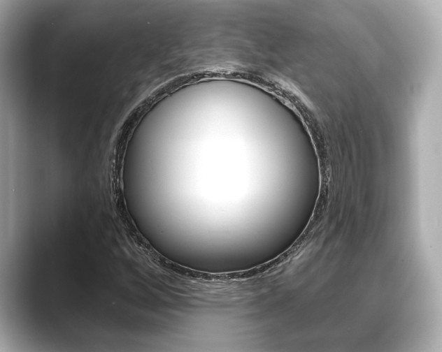 X0000089681256200706210807