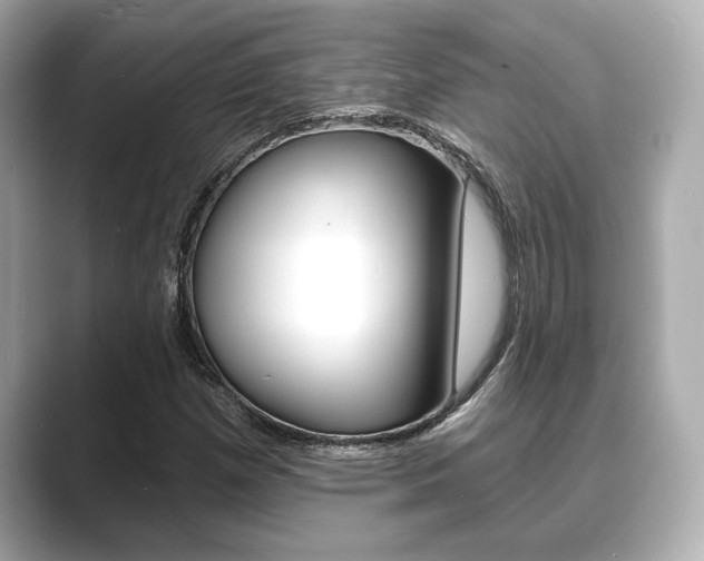 X0000089681257200706210807