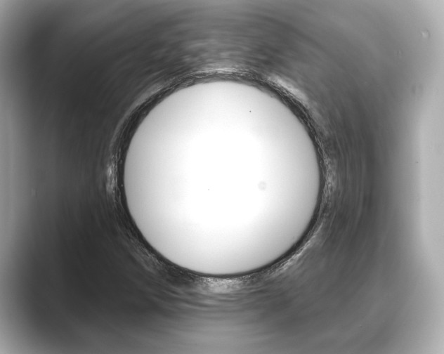 X0000089681258200706210807