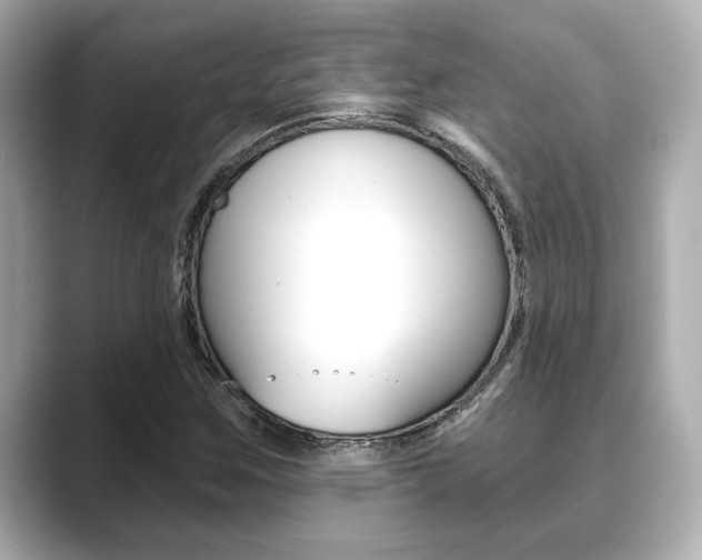 X0000089681259200706210807