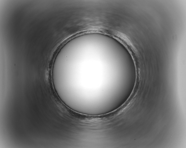 X0000089681260200706210807
