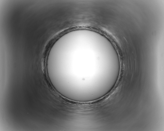 X0000089681262200706210807