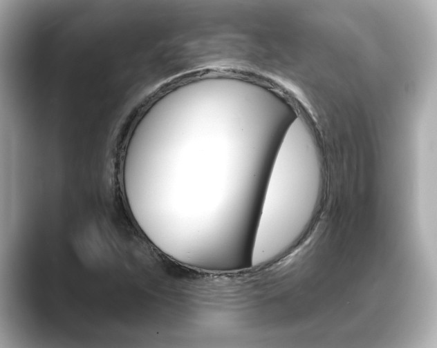 X0000089681263200706210807
