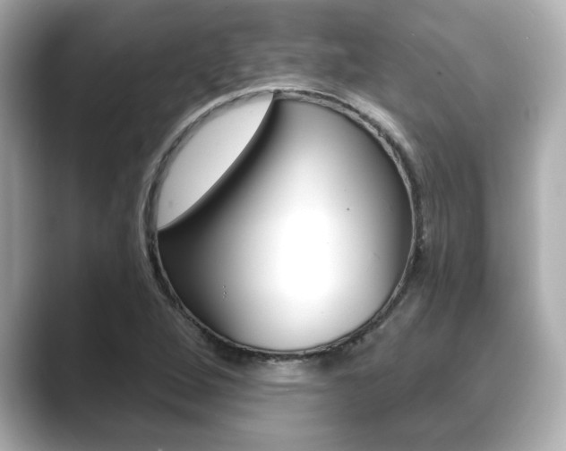 X0000089681264200706210807