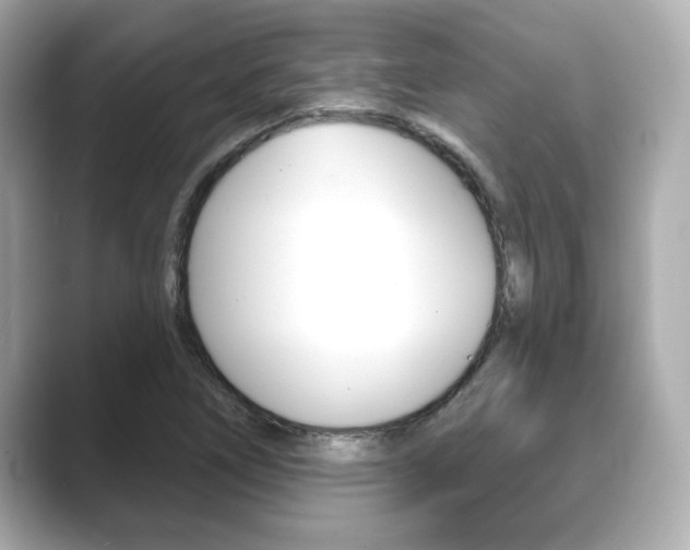 X0000089681266200706210807