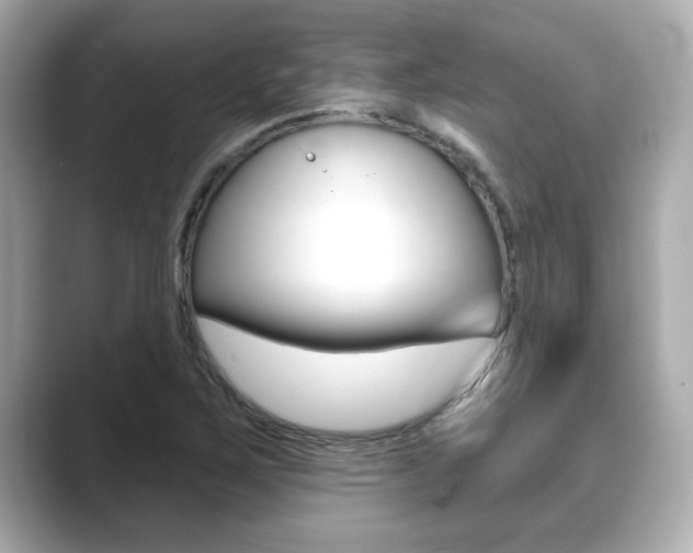 X0000089681267200706210807