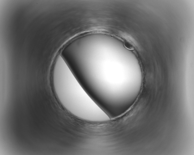 X0000089681268200706210807