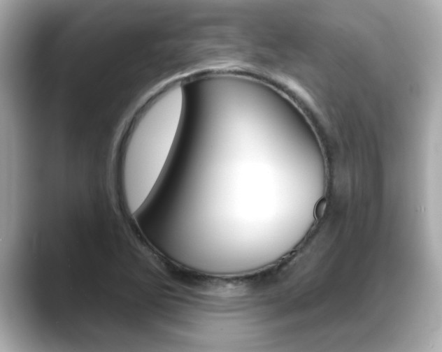 X0000089681270200706210807