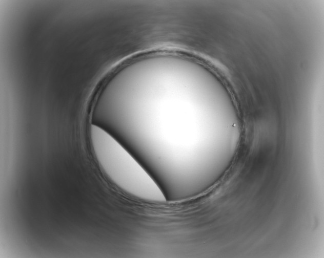 X0000089681271200706210807