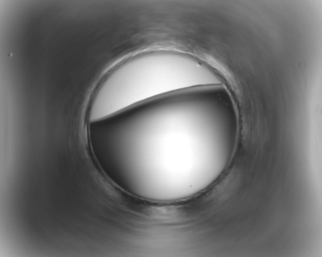 X0000089681272200706210807