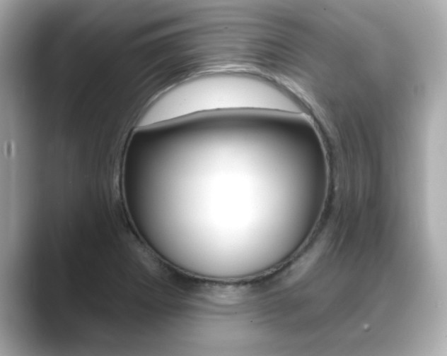 X0000089681273200706210807