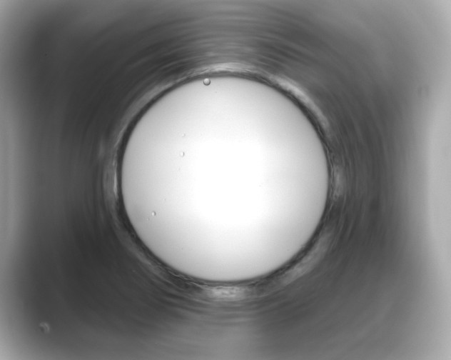 X0000089681274200706210807