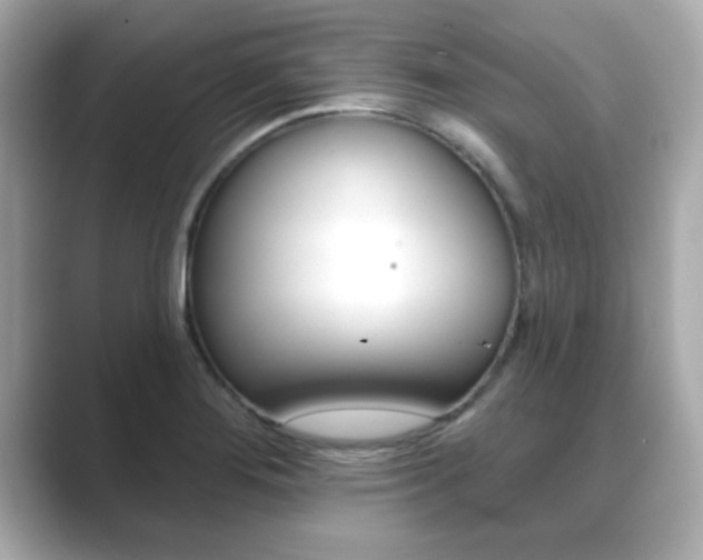 X0000089681276200706210807
