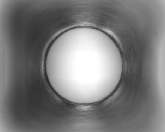 X0000089681278200706210807