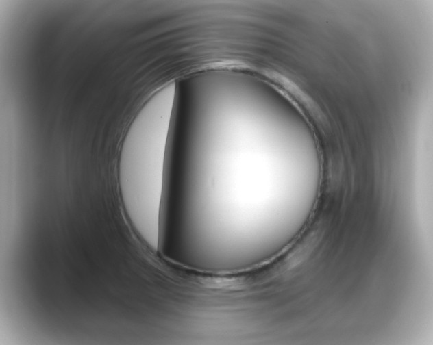 X0000089681281200706210807