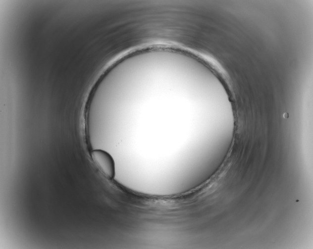 X0000089681287200706210806