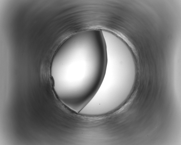 X0000089681289200706210806
