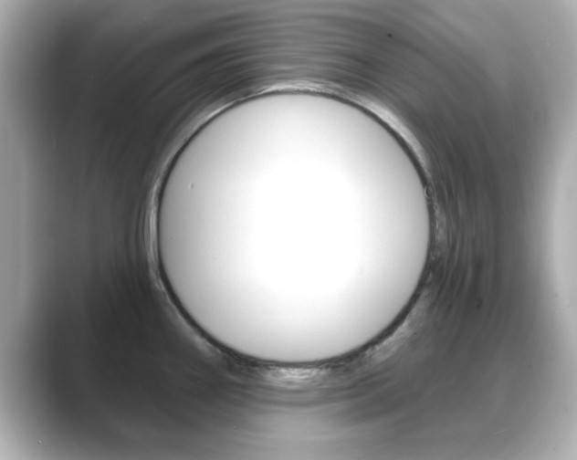 X0000089681290200706210806