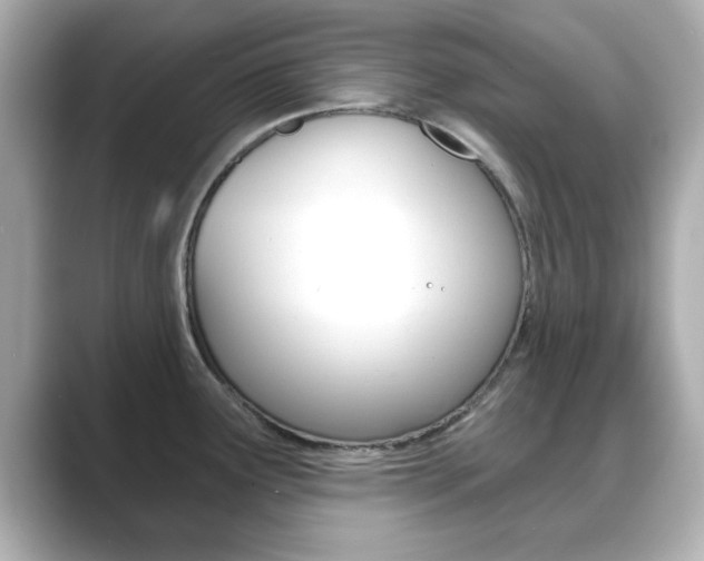 X0000089681291200706210806
