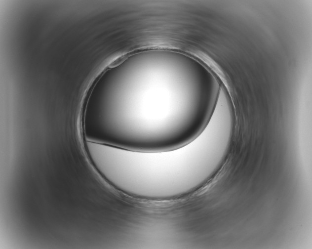 X0000089681293200706210806