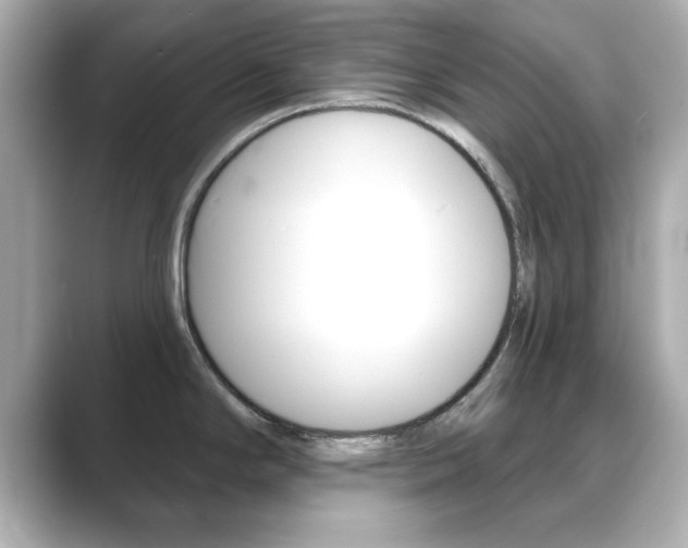 X0000089681294200706210806