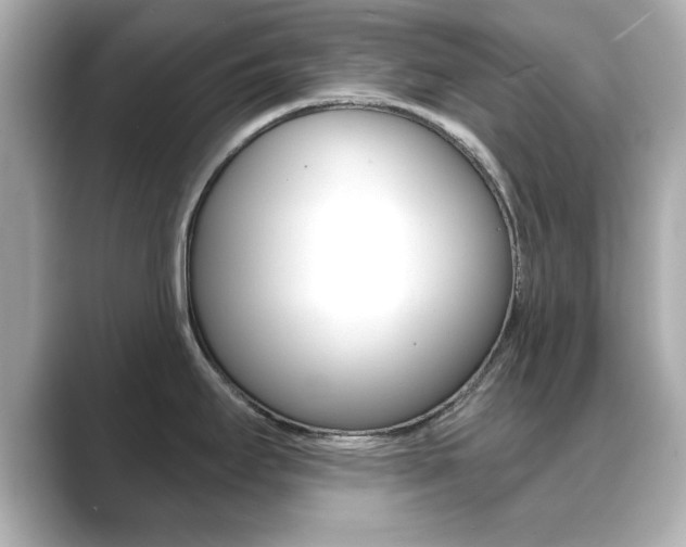 X0000089681295200706210806