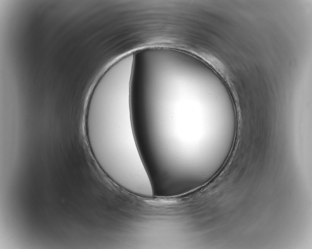 X0000089681296200706210806