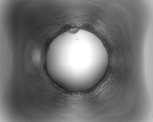 X0000089681297200706210806