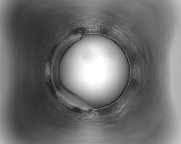 X0000089681298200706210806