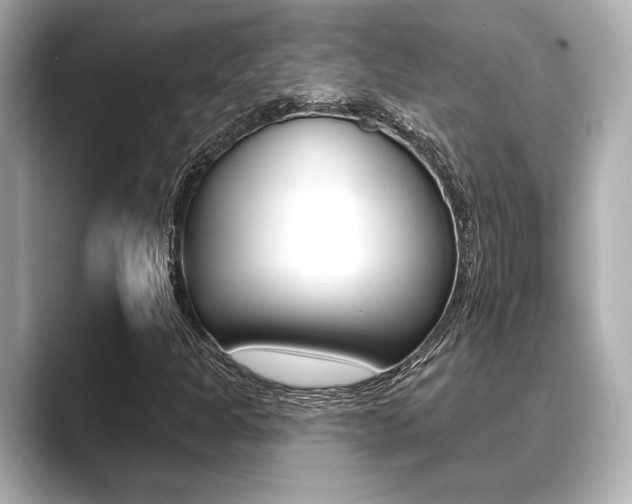 X0000089681301200706210806