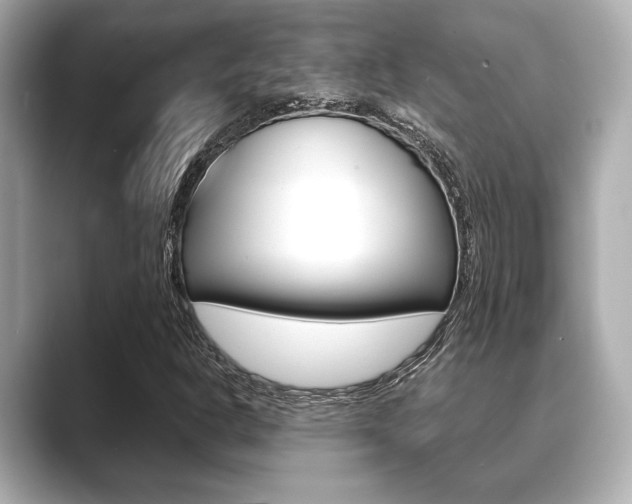X0000089681302200706210806