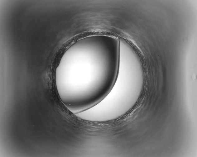 X0000089681304200706210806