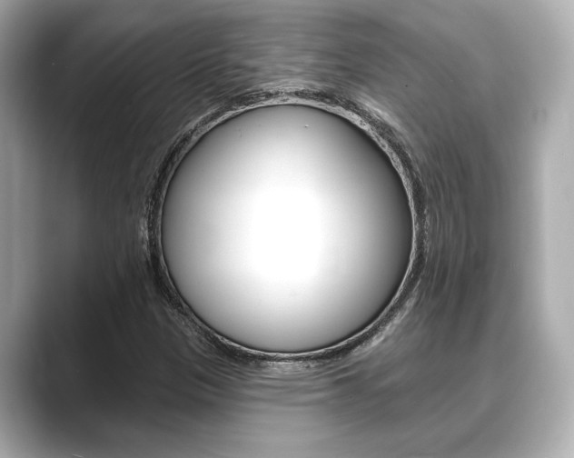 X0000089681305200706210806