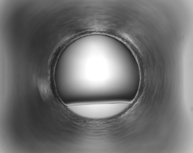 X0000089681307200706210806