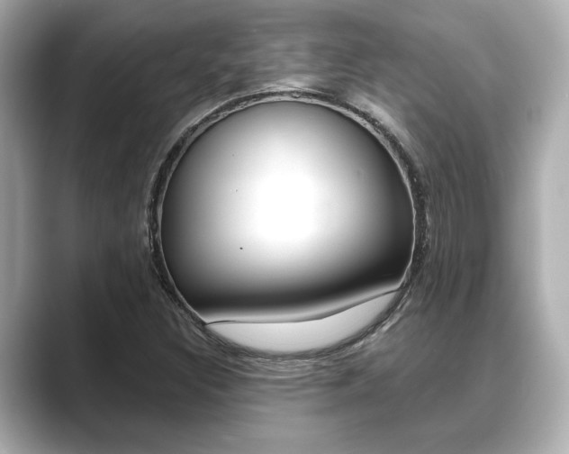 X0000089681308200706210806