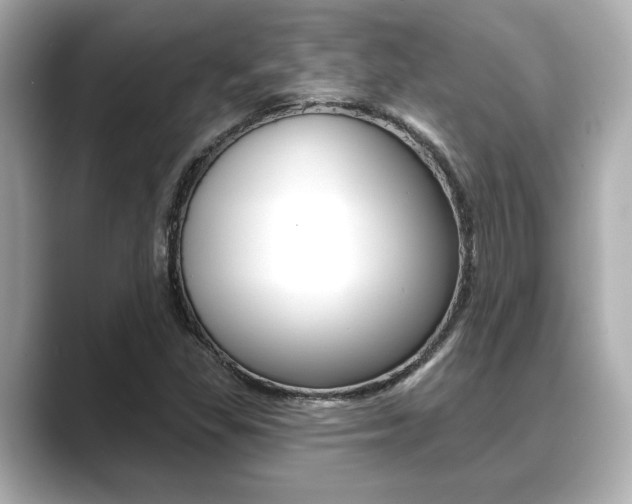 X0000089681309200706210806