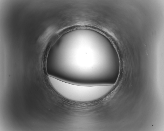 X0000089681311200706210806