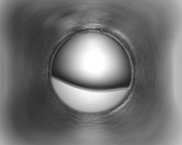 X0000089681313200706210806