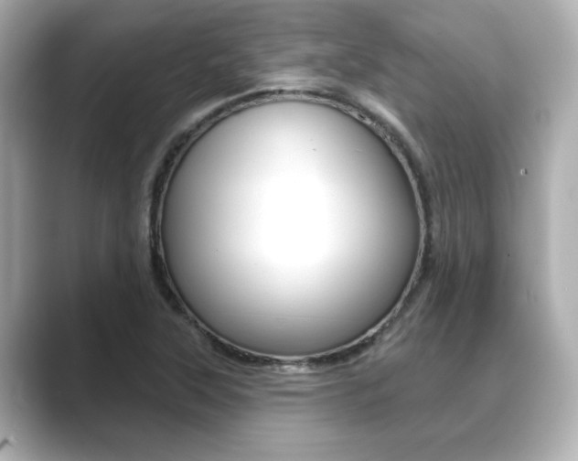 X0000089681315200706210806