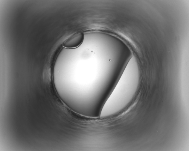 X0000089681317200706210806