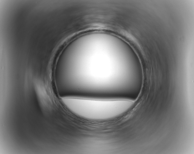 X0000089681318200706210806