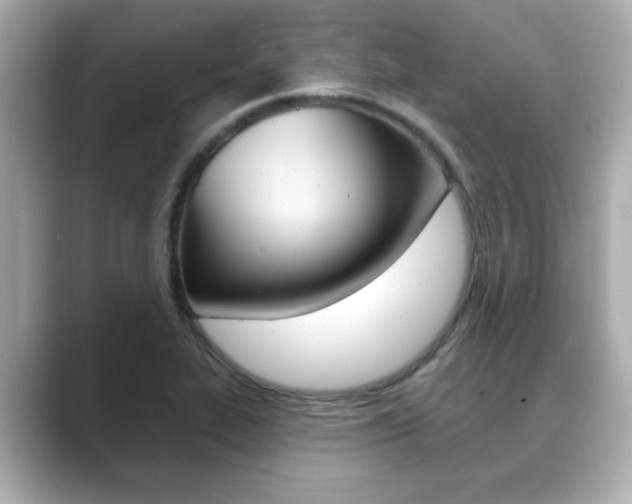 X0000089681319200706210806
