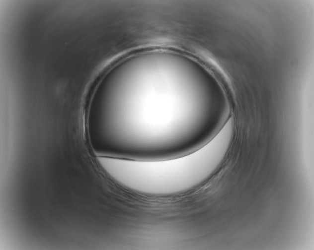 X0000089681320200706210806