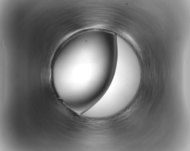 X0000089681324200706210806